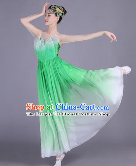 Traditional Chinese Fan Dance Folk Dance Costume Classical Yangko Dance Classical Dance Dress