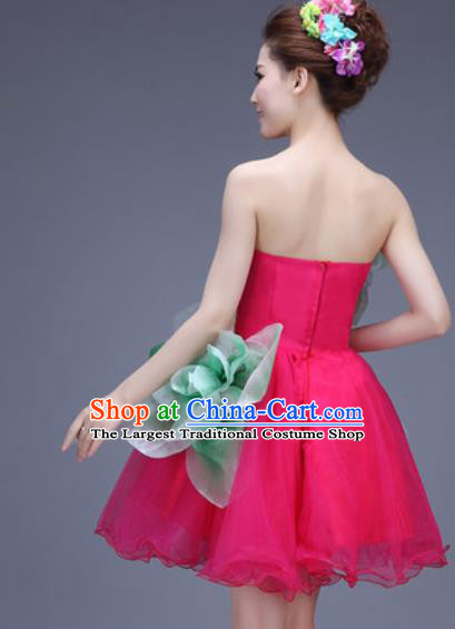 Traditional Chinese Fan Dance Folk Dance Costume Classical Yangko Dance Classical Dance Dress