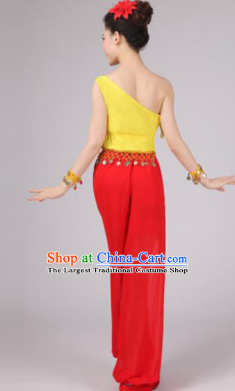 Traditional Chinese Fan Dance Folk Dance Costume Classical Yangko Dance Classical Dance Dress