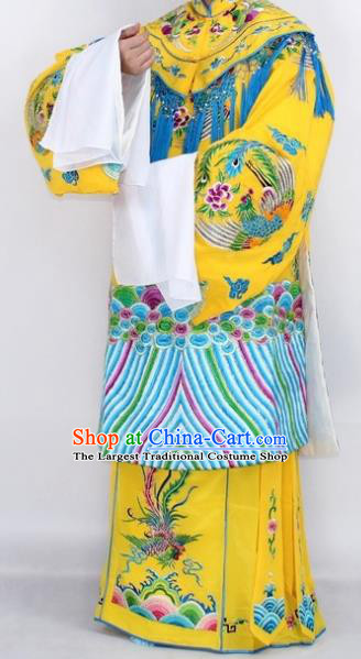 Traditional China Beijing Opera Costume and Hat Ancient Chinese Peking Opera Clothing Shoes