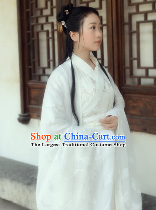 Chinese Jin Dynasty Princess Embroidered Costumes Ancient Peri Swordswoman Hanfu Dress for Women