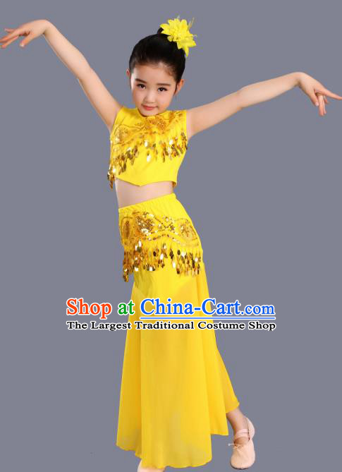 Traditional Chinese Fan Dance Folk Dance Costume Classical Yangko Dance Classical Dance Dress