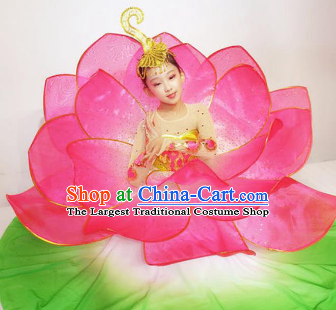 Traditional Chinese Fan Dance Folk Dance Costume Classical Yangko Dance Classical Dance Dress