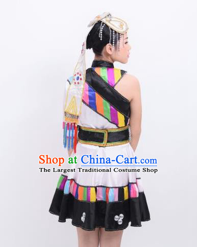 Traditional Chinese Fan Dance Folk Dance Costume Classical Yangko Dance Classical Dance Dress Minority Clothing