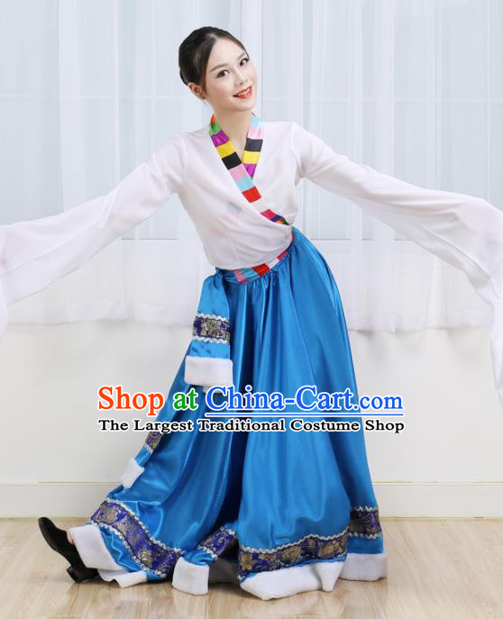 Chinese Ethnic Minority Dress Traditional Mongolian Nationality Folk Dance Costume for Women