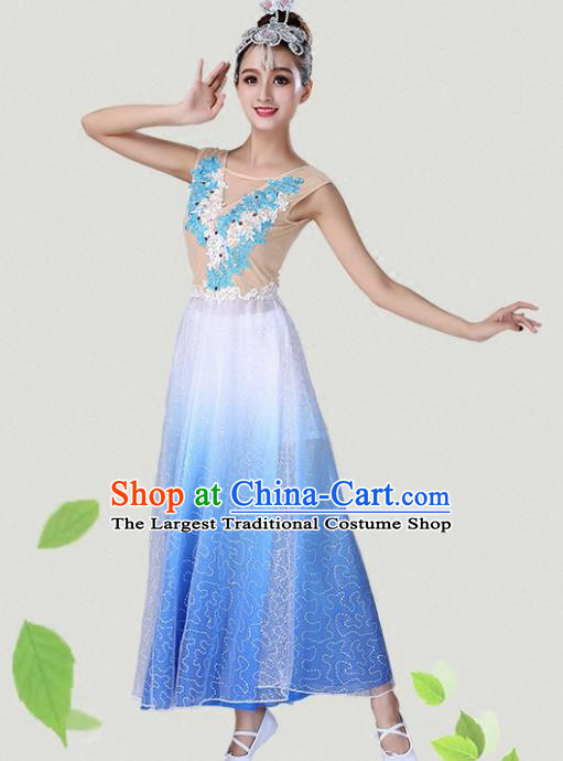 Chinese Traditional Classical Dance Blue Dress Group Dance Costumes for Women