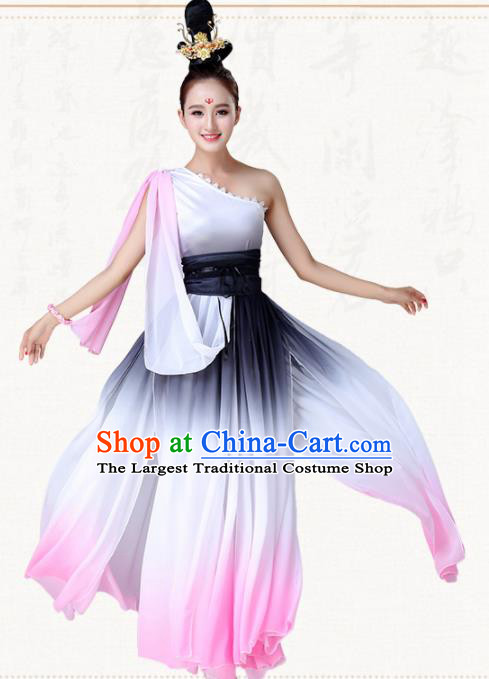 Chinese Traditional Classical Dance Clothing Group Dance Costumes for Women