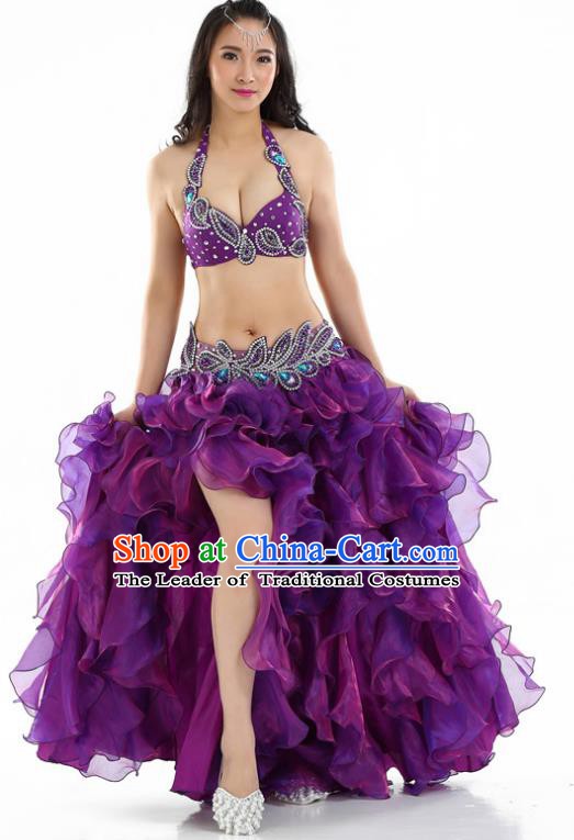 Indian National Belly Dance Purple Sexy Dress India Bollywood Oriental Dance Costume for Women