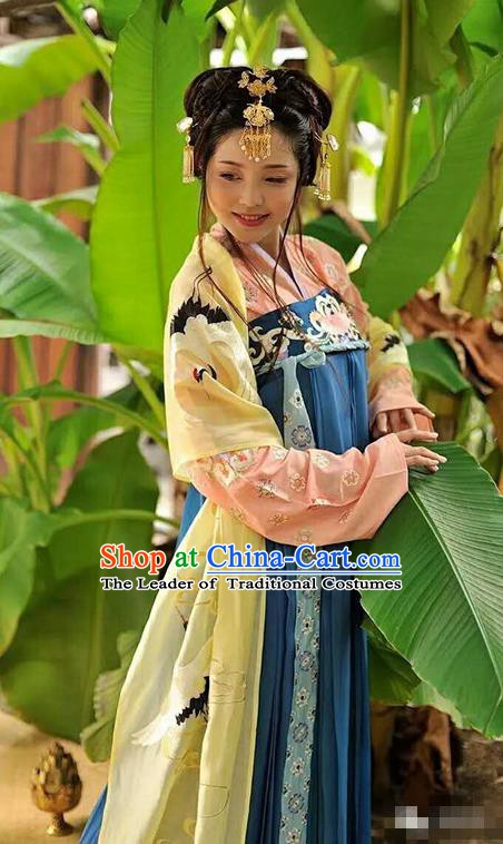 Traditional Chinese Tang Dynasty Palace Lady Dress Ancient Princess Embroidered Costume for Women