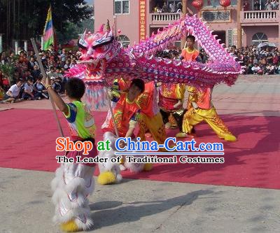 Professional Lion Dance Jongs Lion Dancing Zhuang Instrument Pieces Set Dragon Dance Costume Drum