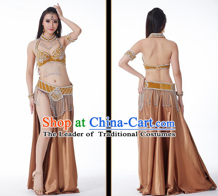 Traditional Asian Indian Belly Dance Costume Stage Performance India National Dance Dress Accessories Belts for Women
