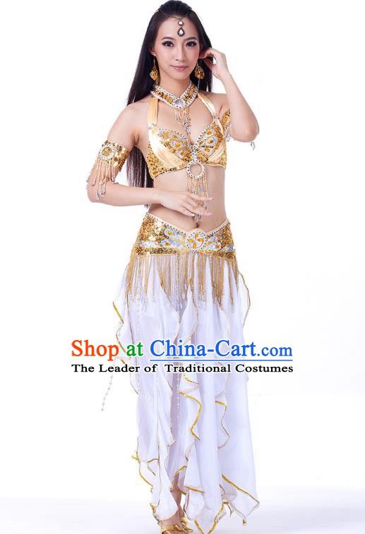 Traditional India Oriental Bollywood Dance Costume Indian Belly Dance Lotus Dress for Women