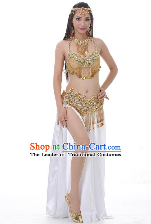 Indian Traditional Costume Golden Tassel Dress Oriental Dance Belly Dance Stage Performance Clothing for Women