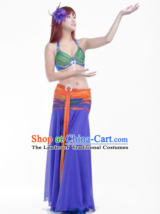 Indian Traditional Belly Dance Costume Classical Oriental Dance Purple Dress for Women