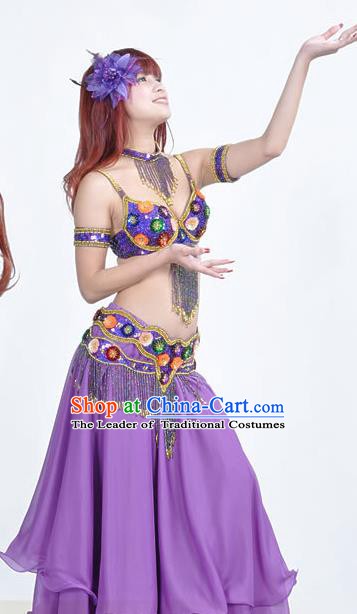 Indian Traditional Belly Dance Performance Costume Classical Oriental Dance Purple Dress for Women