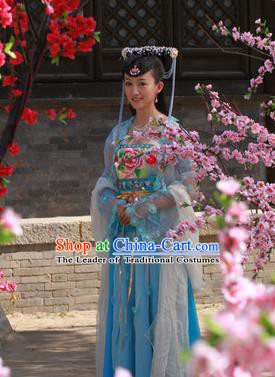 Ancient Chinese Ming Dynasty Palace Princess Embroidered Dress Historical Costume for Women