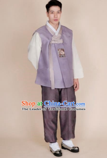 Traditional Korean Costumes Ancient Korean Bridegroom Hanbok Lilac Vest and Purple Pants for Men