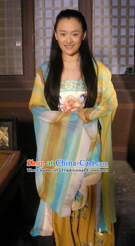 Chinese Traditional Tang Dynasty Palace Princess Embroidered Replica Costume for Women