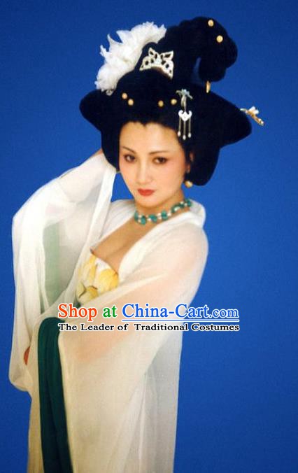 Traditional Chinese Ancient Costume Ancient  Tang Dynasty Hanfu Dress Clothing