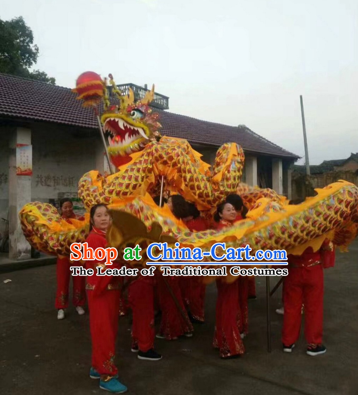 Chinese Classical Parade Procession Golden Dragon Dance Costumes Complete Set for 8 Adults or Kids