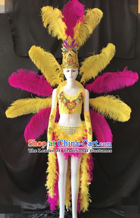 Top Grade Catwalks Costume Brazilian Carnival Samba Dance Bikini Feather Wings and Headdress for Women