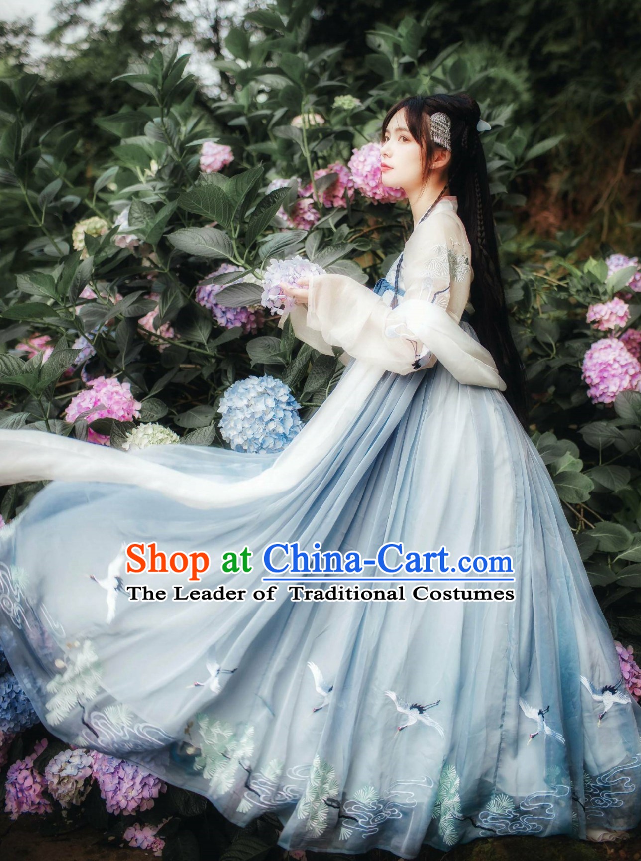 Chinese Classical Dancing Tang Dynasty Hanfu Clothing Complete Set for Women