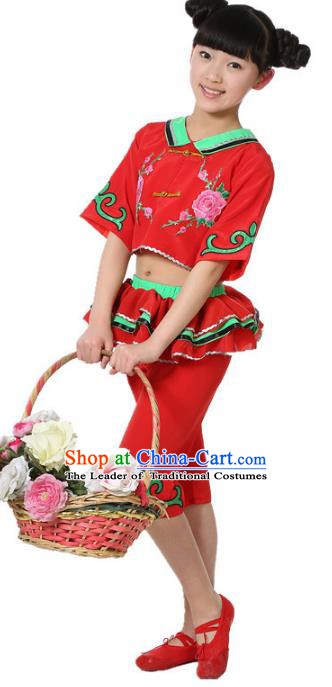 Traditional Chinese Yangge Fan Dance Folk Dance Costume Classical Yangko Dance Modern Dance Dress Clothing