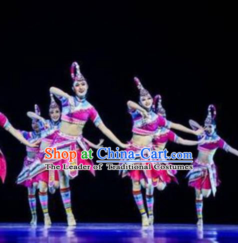 Traditional Chinese She Nationality Folk Dance Embroidered Costume, China Zhuang Ethnic Minority Dance Clothing for Women