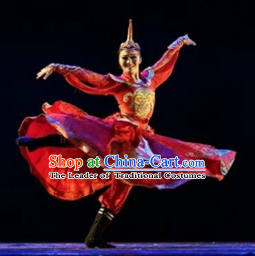 Traditional Chinese Folk Dance Embroidered Costume, China Mongol Nationality Dress Clothing for Women