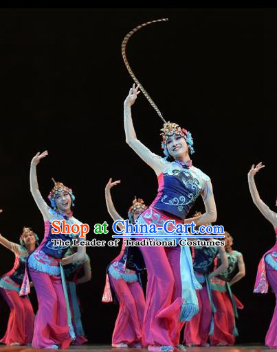 Traditional Chinese Classical Dance Beijing Opera Costume, China Folk Dance Stage Performance Dance Dress Clothing for Women