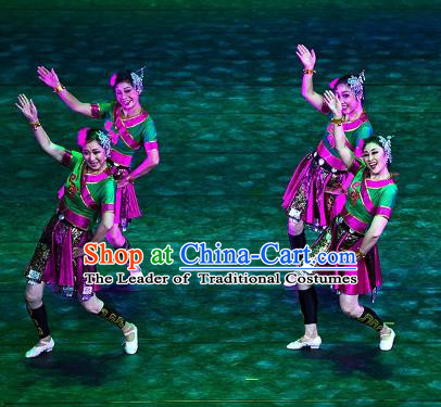Traditional Chinese Yangko Dance Ethnic Costume, Folk Dance Minority Nationality Dance Clothing for Women
