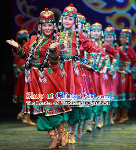 Traditional Chinese Zang Nationality Dancing Costume, Tibetan Female Folk Dance Ethnic Minority Nationality Embroidery Clothing for Women