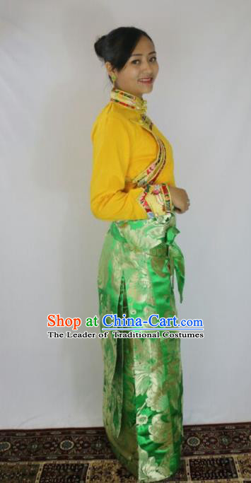 Chinese Traditional Minority Dance Costume Green Tibetan Skirt Zang Nationality Clothing for Women