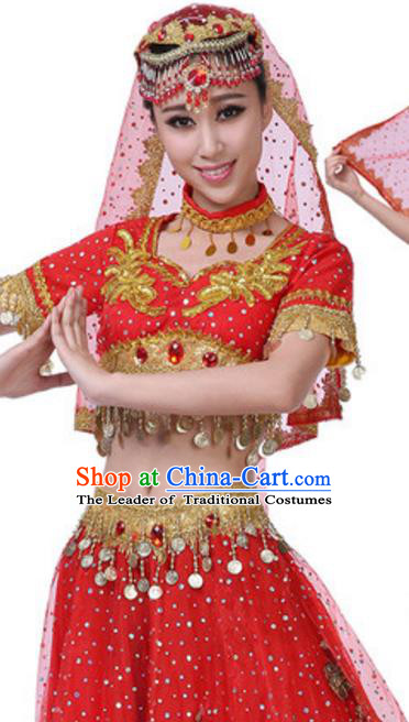 Traditional Chinese Yangge Fan Dance Folk Dance Ethnic Costume Classical Yangko Chorus Modern Dance Dress Halloween Clothing and Shoes