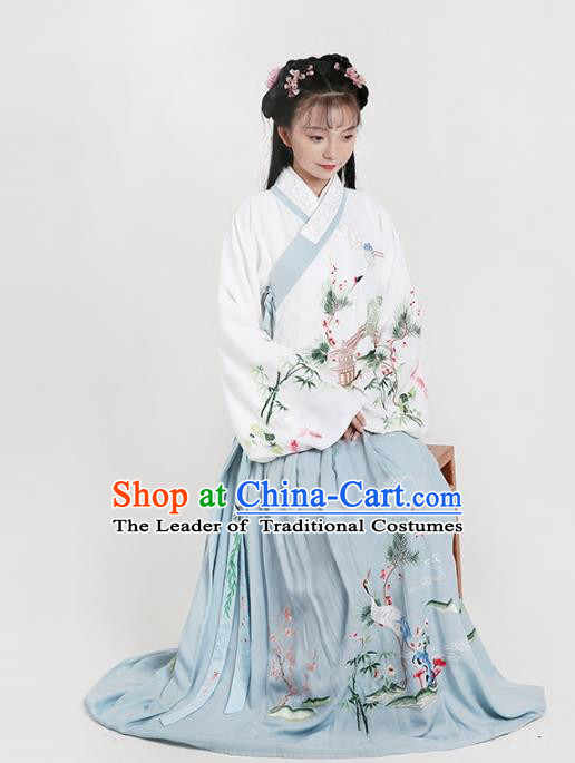 Chinese Ancient Ming Dynasty Princess Costumes Embroidered Hanfu Blouse and Skirt for Women