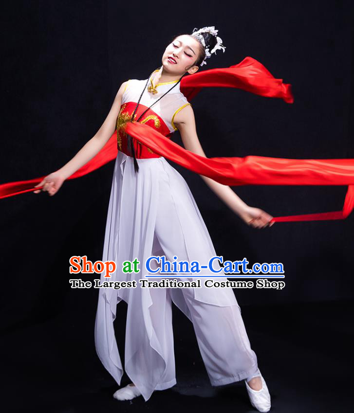 Traditional Chinese Fan Dance Folk Dance Costume Classical Yangko Dance Classical Dance Dress