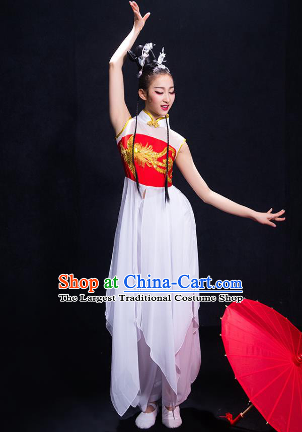 Traditional Chinese Fan Dance Folk Dance Costume Classical Yangko Dance Classical Dance Dress