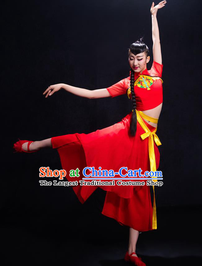 Traditional Chinese Fan Dance Folk Dance Costume Classical Yangko Dance Classical Dance Dress