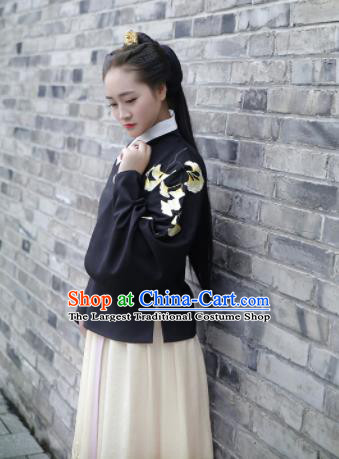 Chinese Ancient Palace Lady Hanfu Han Dynasty Imperial Concubine Queen Embroidered Historical Costumes