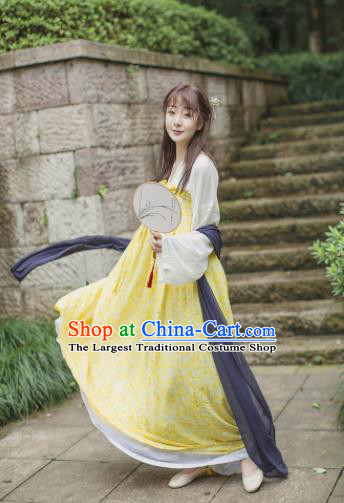 Chinese Ancient Hanfu Traditional Jin Dynasty Embroidered Historical Costumes