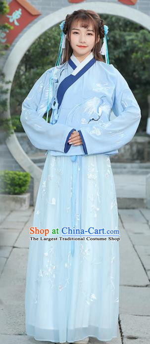 Chinese Ancient Fairy White Dress Ming Dynasty Young Lady Costume for Rich Women