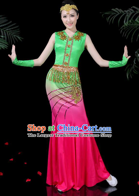 Traditional Chinese Fan Dance Folk Dance Costume Classical Yangko Dance Classical Dance Dress