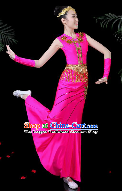 Traditional Chinese Fan Dance Folk Dance Costume Classical Yangko Dance Classical Dance Dress