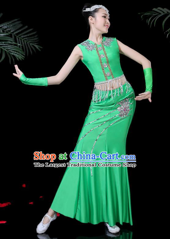 Traditional Chinese Fan Dance Folk Dance Costume Classical Yangko Dance Classical Dance Dress