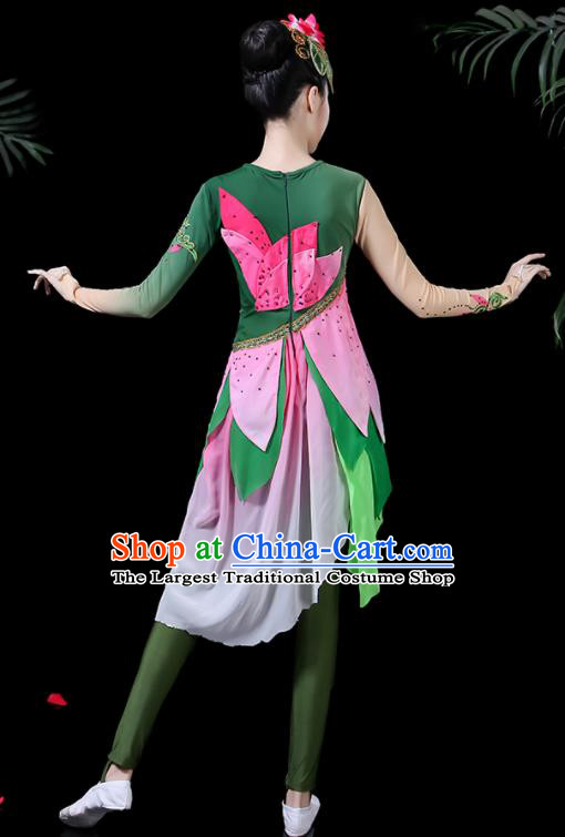 Traditional Chinese Fan Dance Folk Dance Costume Classical Yangko Dance Classical Dance Dress