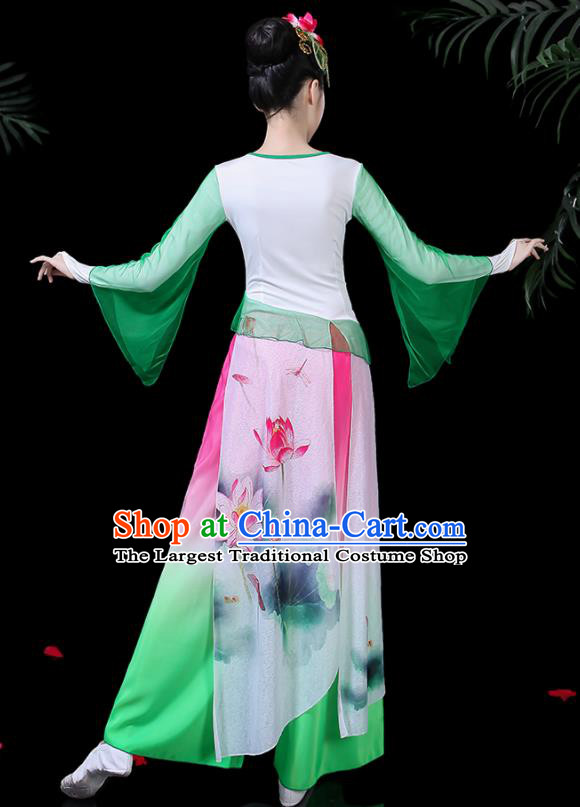 Traditional Chinese Fan Dance Folk Dance Costume Classical Yangko Dance Classical Dance Dress