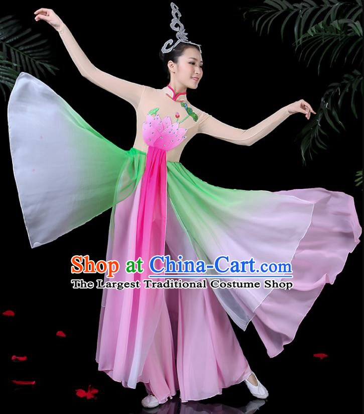 Traditional Chinese Fan Dance Folk Dance Costume Classical Yangko Dance Classical Dance Dress