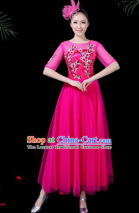 Professional Modern Dance Costume Stage Performance Chorus Rosy Veil Dress for Women