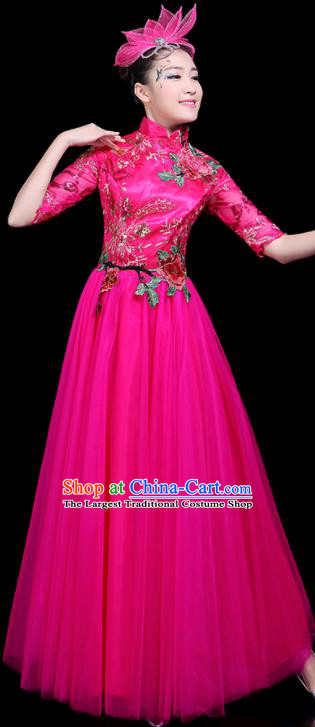 Professional Dance Modern Dance Costume Stage Performance Chorus Rosy Veil Dress for Women