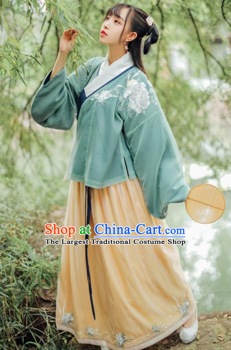 Traditional Chinese Ming Dynasty Female Embroidered Historical Costumes Ancient Princess Hanfu Dress for Women